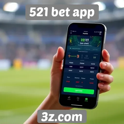 Experiência do usuário no 521 bet app
